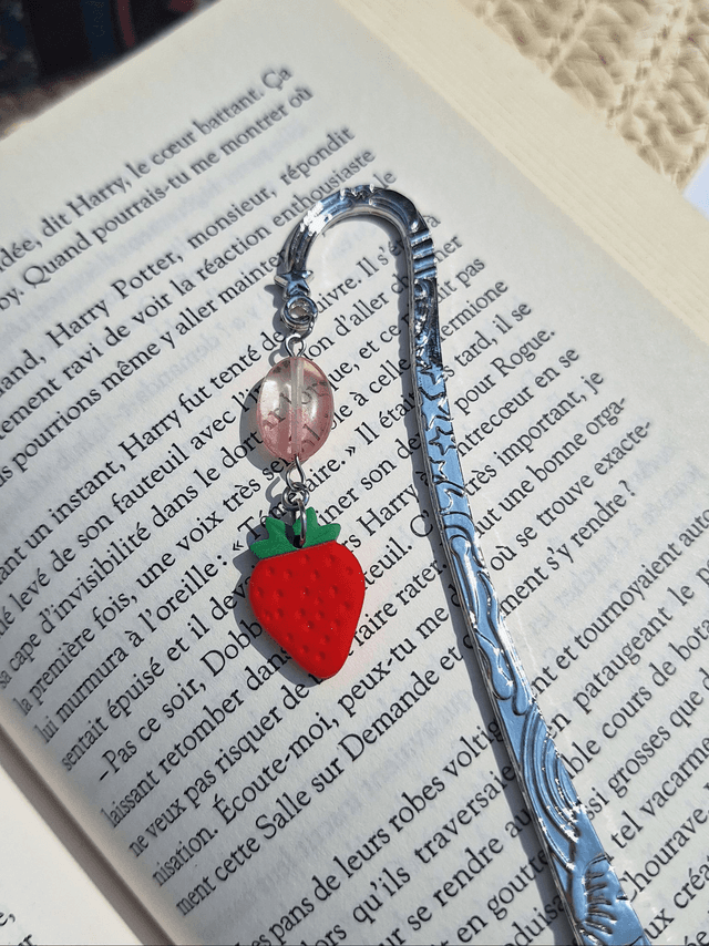 Fraises 🍓 Marque-pages